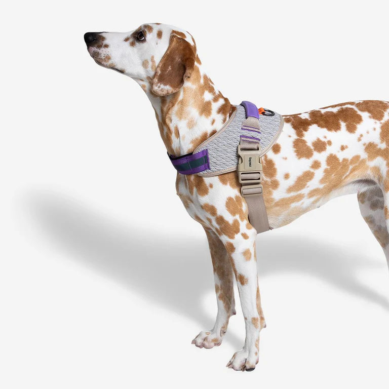 Arnés FlyHarness Zeedog ACG