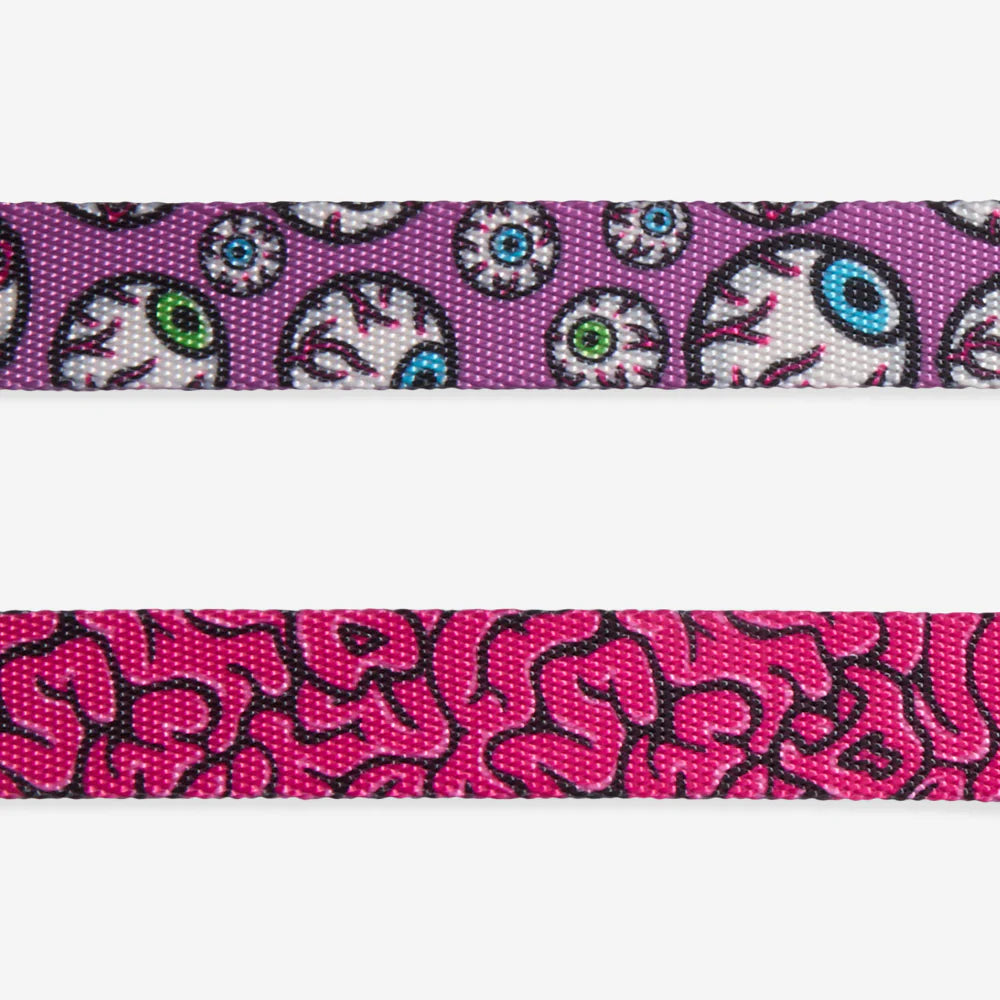 Arnés H Zeedog Brain