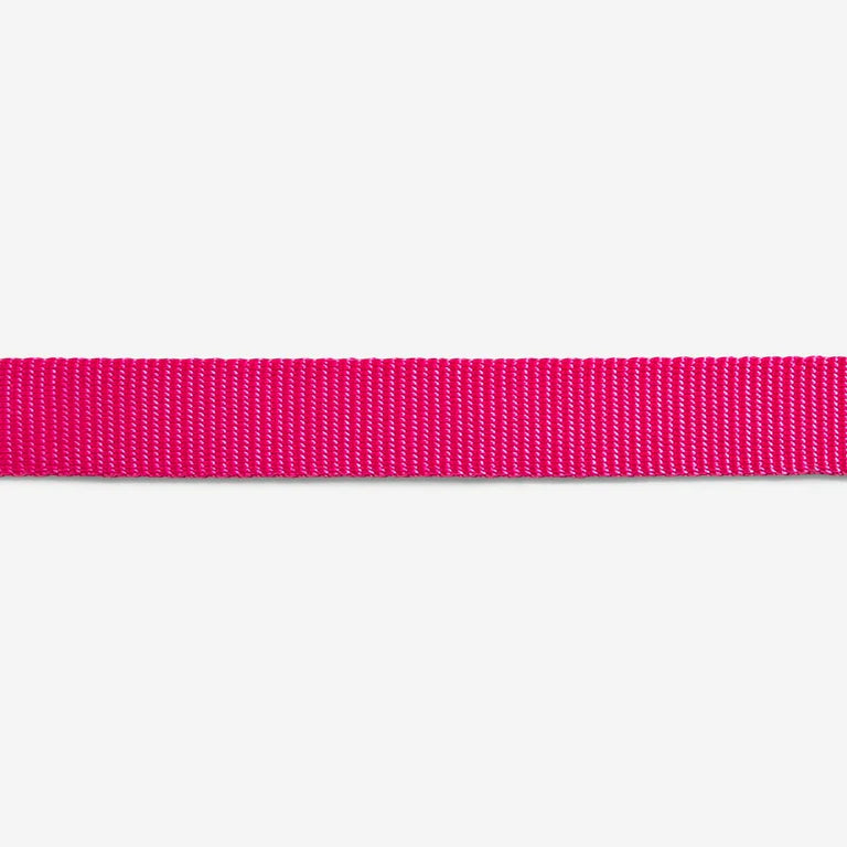 Collar para Gato ajustable Zeecat PinkLed