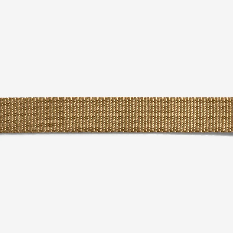 Collar para Gato ajustable Zeecat Dune