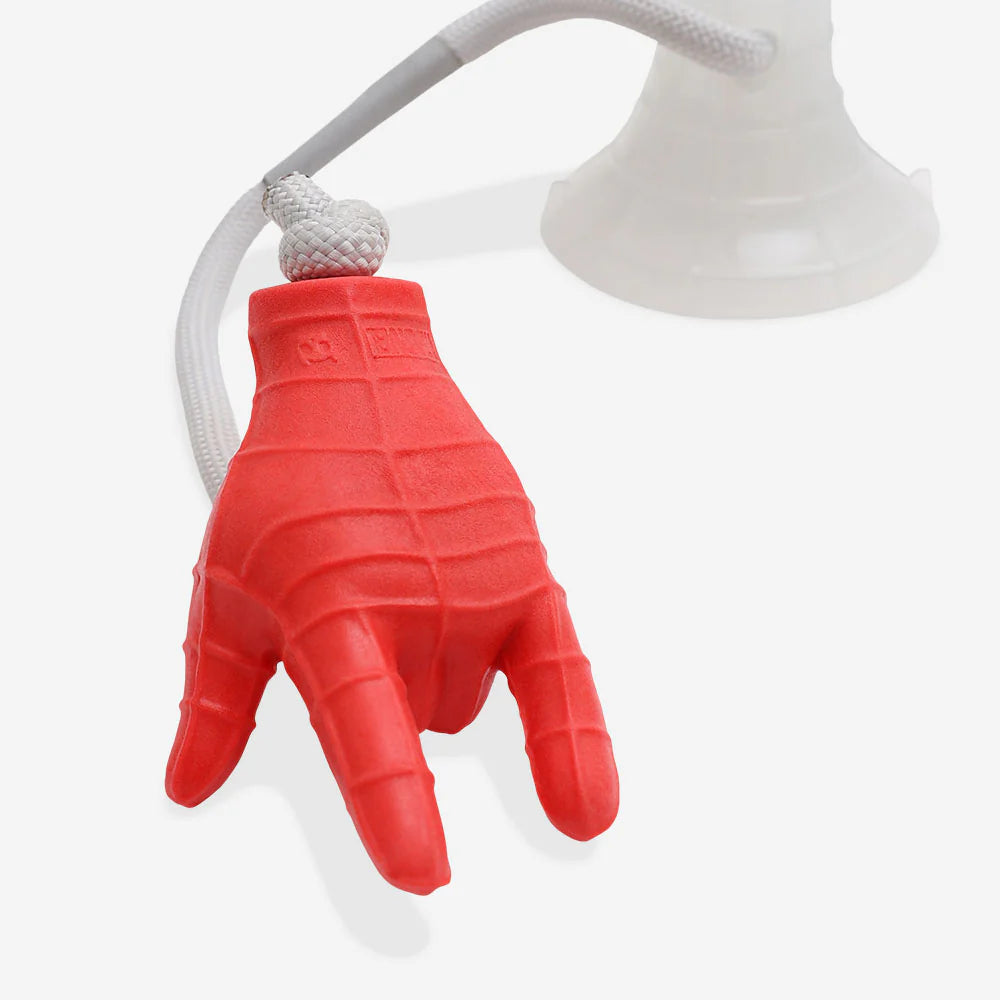Juguete remolcador de goma resistente Zeedog SpiderMan