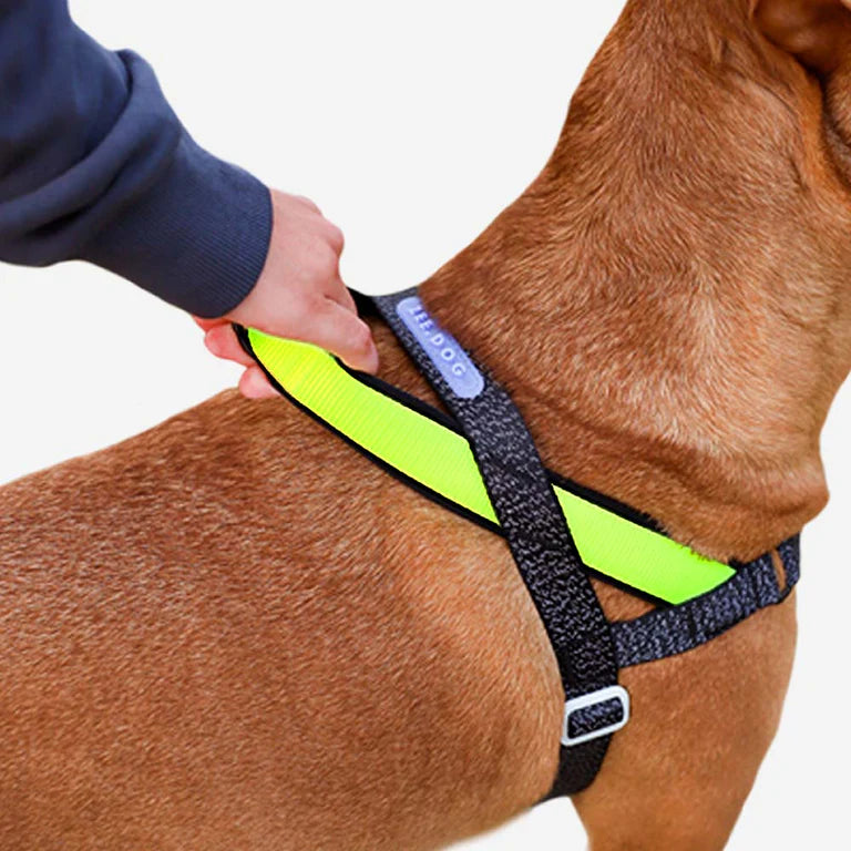 Arnés Reflectivo Softwalk Zeedog Nox