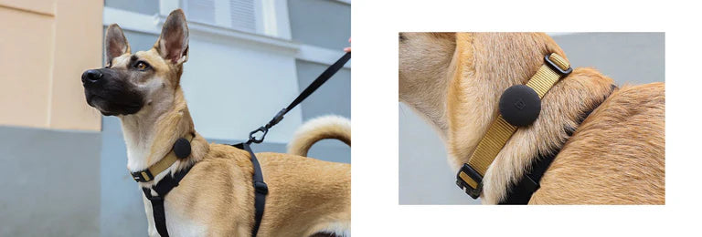 AirTag Holder Zeedog Gotham