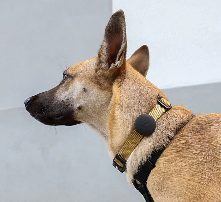 AirTag Holder Zeedog Gotham
