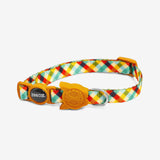 Collar para Gato ajustable Zeecat Phantom