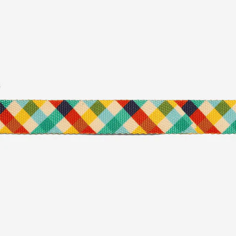 Collar para Gato ajustable Zeecat Phantom