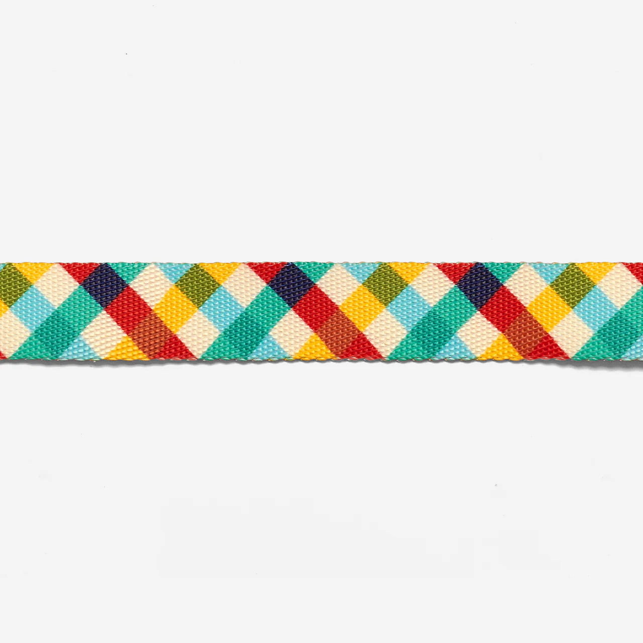 Collar para Gato ajustable Zeecat Phantom