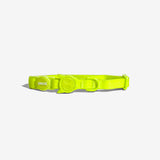 Collar impermeable para Gato Neopro Zeecat Lyme